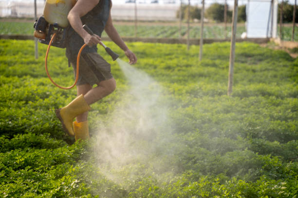 Best Pest Removal Services  in Monmouth, OR