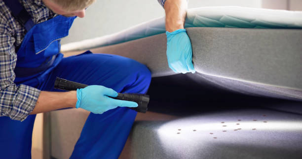 Best Local Pest Control Services  in Monmouth, OR