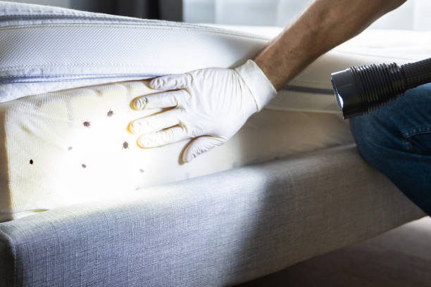 Best Pest Prevention Services  in Monmouth, OR