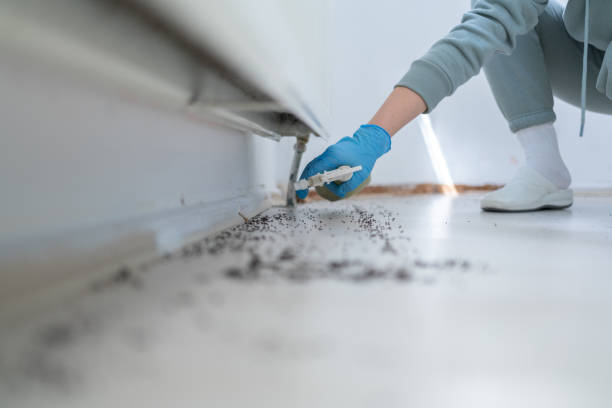 Best Wasp Removal Services  in Monmouth, OR